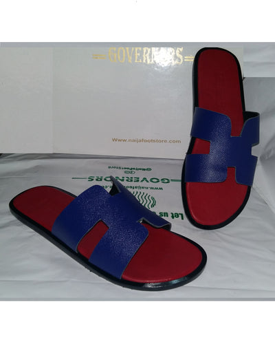 Red and Blue Governors H Slides