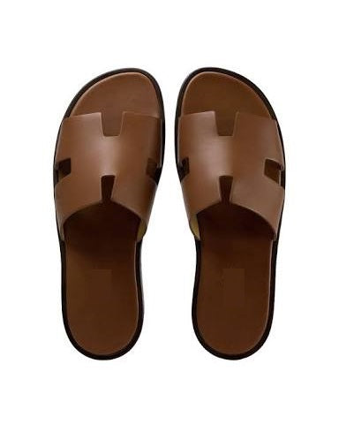 Brown Governors H Slides